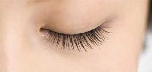 natural lashes